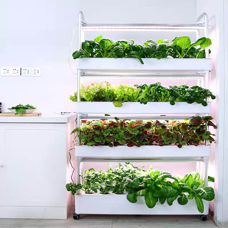ydroponic Planting System Smar - Smart Home Automation Diy review and price