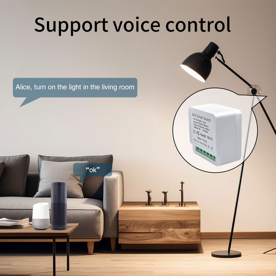 16A/20A WiFi Mini Smart Switch - Home Automation Technology review and price